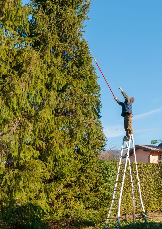 Tree Topping Service