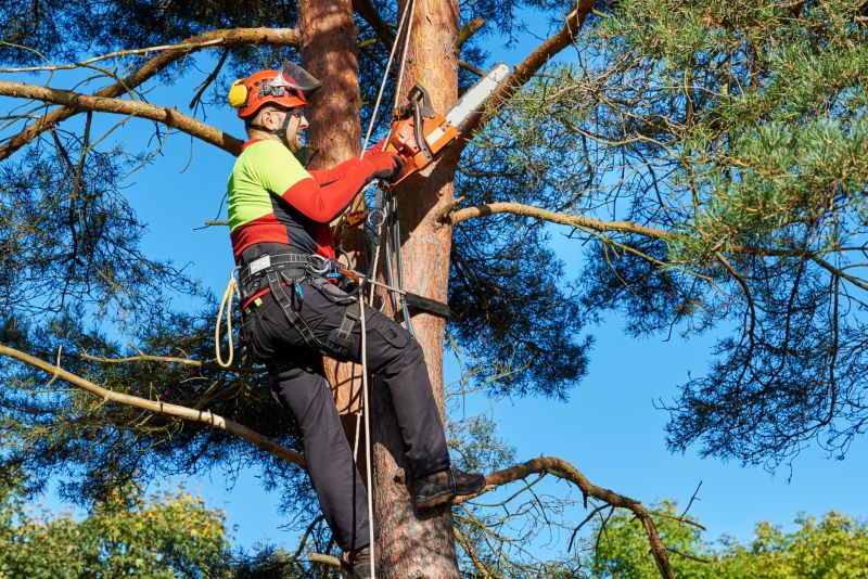 Tree Topping Service
