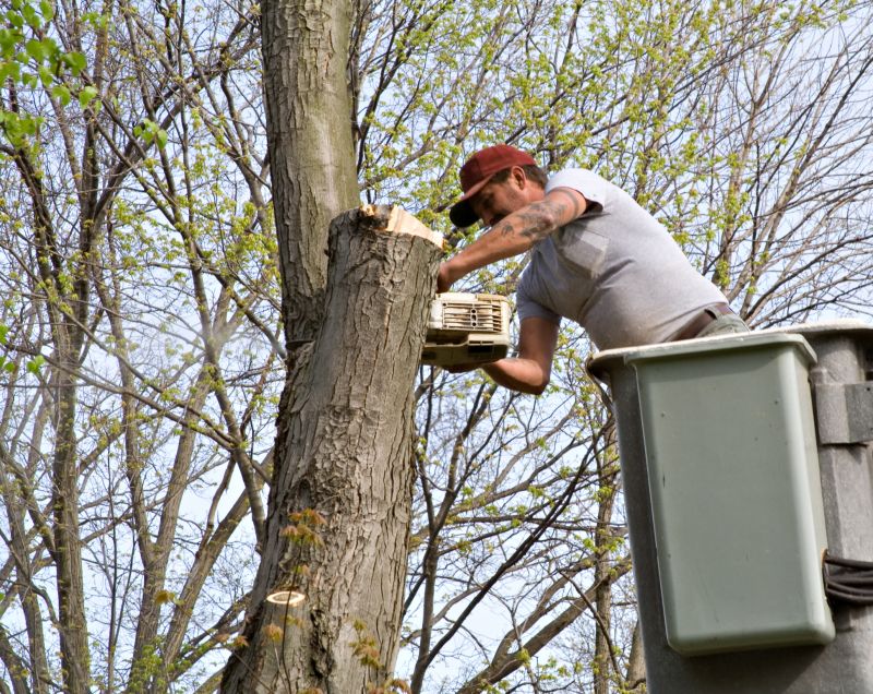 Tree Topping Service