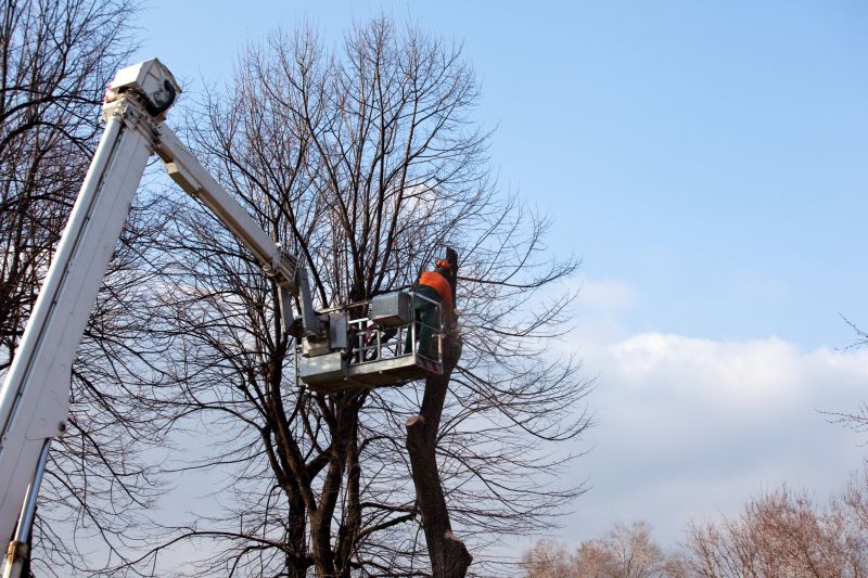 Tree Topping Service