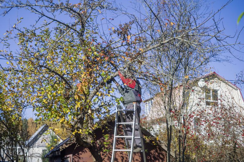 Tree Topping Service