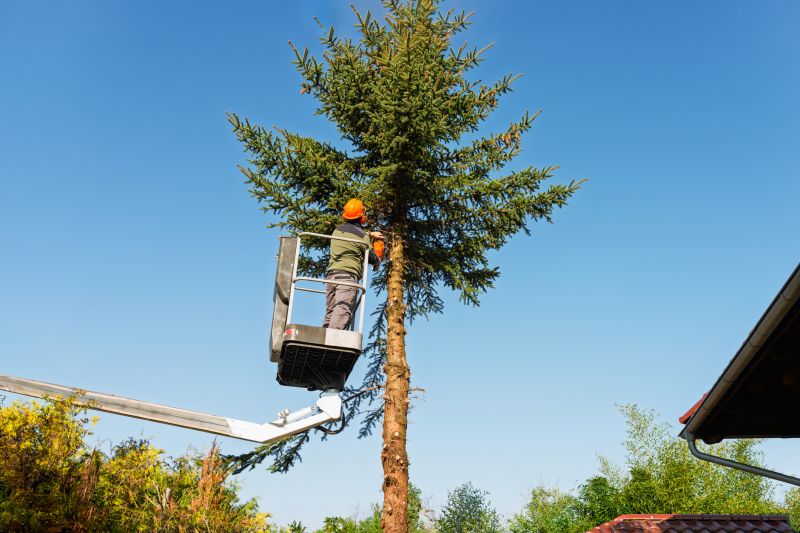 Tree Topping Service