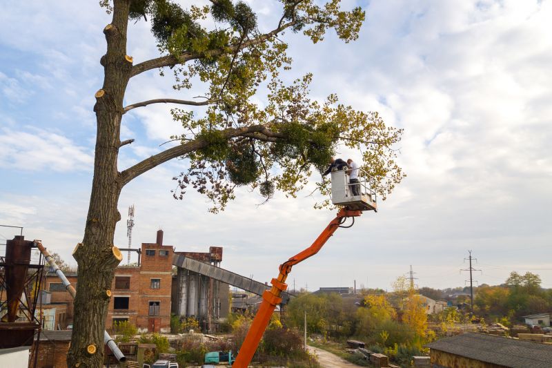 Tree Topping Service