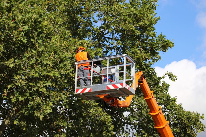Tree Topping Service