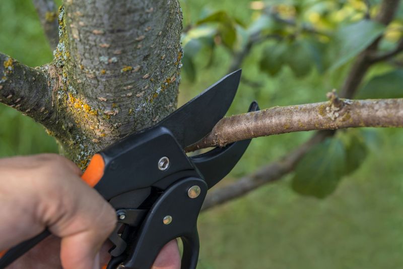 Equipment for Tree Trimming
